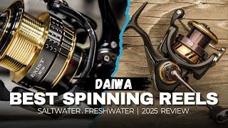 10 Best Daiwa Spinning Reels for 2025