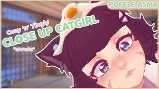 Catgirl Comforts You With ASMR Tingles & Triggers 