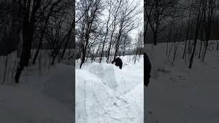 skis switch 360