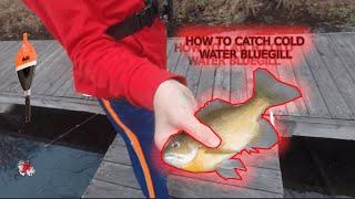 How To Catch Cold Water Bluegill (FREEZING)