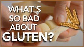 Is Gluten that bad for your health? | The Science