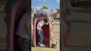 Giant Dinosaur Head: Perfect for Photos and Relaxation!