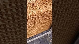 master cooler filter change.