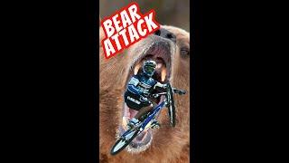 How to SURVIVE a  BEAR ATTACK on the trails! #shorts #tips #mtb