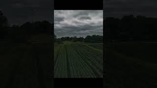 CineShort - Field of clouds