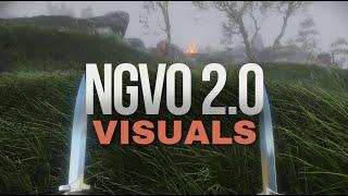 Skyrim 2024 - Getting The Best Visuals with with NGVO 2.0!  - 4k 60FPS #skyrim #modding