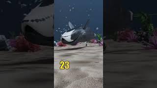 Clown Fish vs Bloop