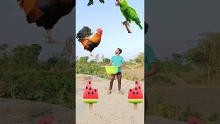 Flying crying babies Catching vs  danching gorilla vs hen, parrot funny video #trending