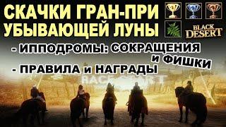 СКАЧКИ в БДО: Трассы (фишки), Награды (заработок), 90 Папоротника в неделю. БДО (BDO-Black Desert)