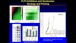 BCL-2 and its Inhibition in Leukemia | Dr  Konopleva