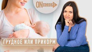 Грудное вскармливание и Прикорм - ЧТО НУЖНО ЗНАТЬ! | [ON эксперт] -  Консультант по ГВ