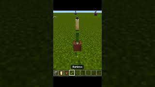 Minecraft Tiktok Hack #viral #minecraft