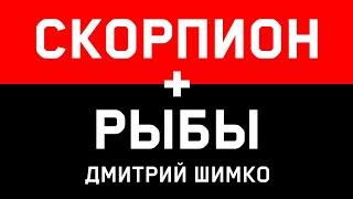 РЫБЫ+СКОРПИОН - Совместимость - Астротиполог Дмитрий Шимко