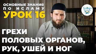 УРОК 16. ГРЕХИ ПОЛОВЫХ ОРГАНОВ, РУК, УШЕЙ И НОГ. ОСНОВНЫЕ ЗНАНИЯ ПО ИСЛАМУ