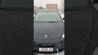 Кот с пробегом не продается‍↕️, Тесла Model 3 в продаже #automobile #tesla #обзор #авто #cat