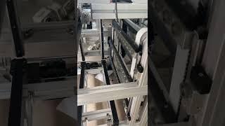 Efficient Vertical Transportation: The Continuous Elevator Solution for Conveyor System #automation