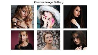 Responsive Image Gallery Using Flexbox | Simple Image gallery | Beginners Tutorial