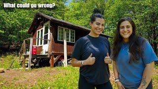 Cabin Life With Roaming Reckless