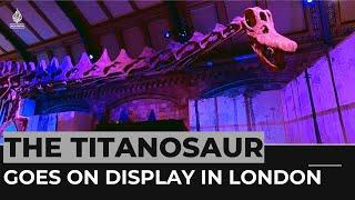 Titanosaur: World’s biggest-ever dinosaur goes on display in London