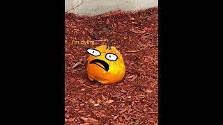 Dying pumpkin