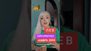 ЛЕВ таро прогноз ноябрЬ 2024 ОТ ЮЛИИ ДОЖДЬ. Ссылка на видео в описании