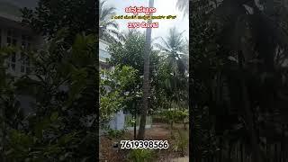 2 Acer with Farm house for sale at Channapatna 7619398566