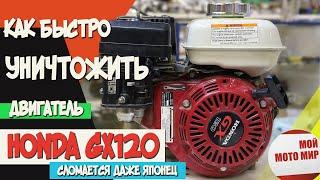 От этого сломается даже HONDA GX120 двигатель от мотоблока дымит!