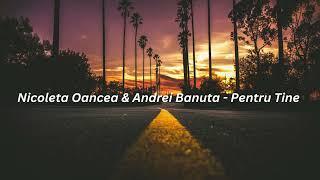 Nicoleta Oancea & ‪Andrei Banuta  - Pentru Tine   (versuri)