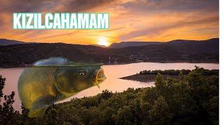 Kızılcahamam sazan avı carp carpfishing fishing #kızılcahamam #sazan #carpfishing #fishing #balık