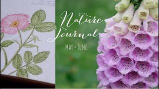 Nature Journal • May / June