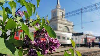 6 ДНЕЙ В ПОЕЗДЕ ЧЕРЕЗ ВСЮ РОССИЮ | СНОВА БРОСИЛИ ДОМ КУДА ЕДЕМ И ЗАЧЕМ