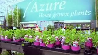 Azure Garden Centre 2019