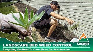 Landscape Bed Maintenance and Weed Control | Summit Lawns Service Description