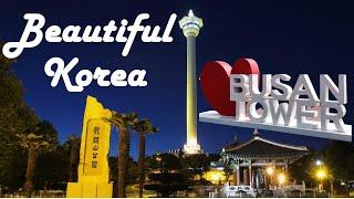 Busan Tower in Telugu | Yongdusan Park | South Korea vlogs | RSR Vlogjet
