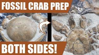 12-million-year-old fossil crab find and prep - both sides this time!
