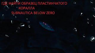 где найти образец пластинчатого коралла за 1мин 25сек в SUBNAUTICA BELOW ZERO