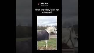 #filmxin #funny #funnyvideo #shorts