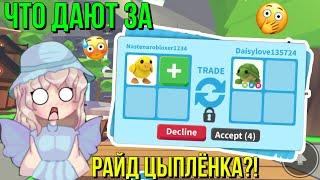 ЧТО ДАЮТ ЗА РАЙД ЦЫПЛЁНКА В АДОПТ МИ?! ТРЕЙДЫ ADOPT ME Kroshka_Nastia