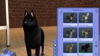 Sims 2 1 часть создание персонажа