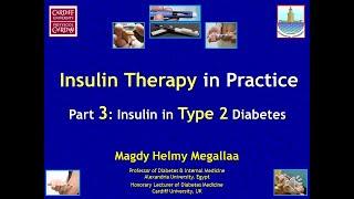 Insulin Therapy in Practice (PART 3/3). Prof Magdy Megallaa