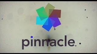 20  Pinnacle Studio 20  Футажи с альфой  Свадебная заставка