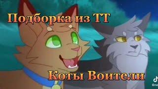 Подборка из Тик Тока - Коты Воители #4