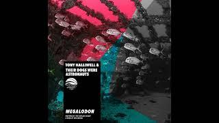 Tony Halliwell & Their Dogs Were Astronauts - Megalodon | The Outlaw Ocean Music Project