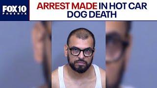 Man arrested in Queen Creek following hot car dog death | FOX 10 Phoenix