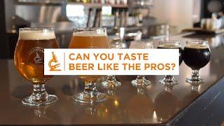 Tasting Beer Like the Pros - Tips from The Pitch