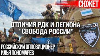 РДК и “Свобода России”. Чем они отличаются. Российский оппозиционер Илья Пономарев