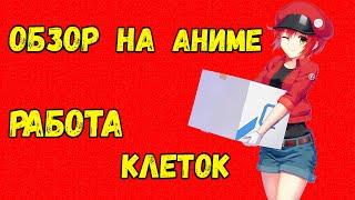 ОБЗОР НА АНИМЕ "Клетки за работой/Hataraku Saibou" АНИМЕШНОЕ ПОСОБИЕ ДЛЯ ИЗУЧЕНИЕ РАБОТЫ КЛЕТОК