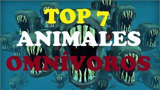 TOP 7 ANIMALES OMNÍVOROS