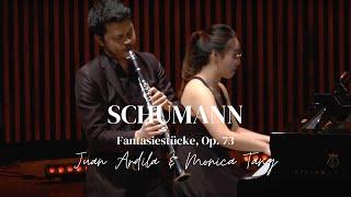 Schumann Fantasiestüke Op.73 for Clarinet and Piano- Juan Ardila/Monica Tang