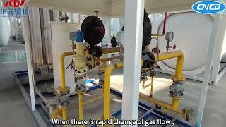 Cryogenic pump and vaporizer skid